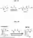 Fig. 03 - GELMA POLYMER COMPOSITIONS AND USES THEREOF