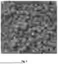 Fig. 02 - NOVEL REMEDIATING COMPOSITION