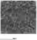 Fig. 03 - NOVEL REMEDIATING COMPOSITION