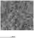 Fig. 04 - NOVEL REMEDIATING COMPOSITION