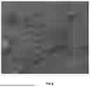 Fig. 05 - NOVEL REMEDIATING COMPOSITION
