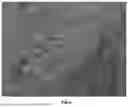 Fig. 06 - NOVEL REMEDIATING COMPOSITION