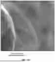 Fig. 197 - SCALABLE SYNTHESIS OF PERIMORPHIC MATERIALS
