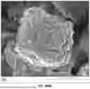 Fig. 320 - SCALABLE SYNTHESIS OF PERIMORPHIC MATERIALS