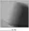Fig. 331 - SCALABLE SYNTHESIS OF PERIMORPHIC MATERIALS