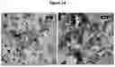 Fig. 15 - CEMENTITIOUS MATERIAL PRODUCTION FROM NON-LIMESTONE MATERIAL