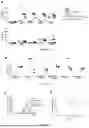 Fig. 04 - RECOMBINANT CHIMERIC PROTEIN, USE THEREOF, AND COMPOSITION