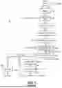 Fig. 02 - METHOD AND SYSTEM FOR INCREASING OIL YIELD FROM A WHOLE STILLAGE BYPRODUCT PRODUCED IN A CORN DRYMILLING PROCESS