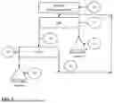 Fig. 07 - PROCESS FOR DRY BENEFICIATION OF BAUXITE MINERALS BY ELECTROSTATIC SEGREGATION