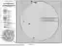 Fig. 30 - SYSTEM AND METHOD FOR CATEGORIZING AND ASSESSING WELLS