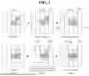 Fig. 03 - ELECTRONIC DEVICES AND METHODS FOR LEARNING DATA GENERATION AND PRODUCT ANOMALY DETECTION BASED ON UNSUPERVISED LEARNING