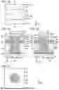 Fig. 06 - Semiconductor Device