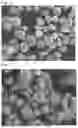 Fig. 05 - POSITIVE ELECTRODE ACTIVE MATERIAL FOR NON-AQUEOUS ELECTROLYTE SECONDARY BATTERY AND PRODUCTION METHOD THEREOF