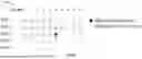Fig. 10 - METHOD, APPARATUS, AND MEDIUM FOR DATA PROCESSING