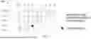 Fig. 16 - METHOD, APPARATUS, AND MEDIUM FOR DATA PROCESSING