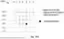Fig. 23 - METHOD, APPARATUS, AND MEDIUM FOR DATA PROCESSING