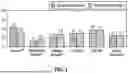 Fig. 02 - SMOKING ARTICLE INCLUDING CIGAR EXPANDED CUT TOBACCO AND METHOD OF MANUFACTURING THE SAME