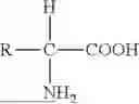 Fig. 09 - COMPOSITIONS AND METHODS FOR TREATING AND/OR PREVENTING LUNG INJURY