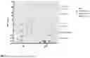 Fig. 08 - COMPOSITIONS FOR USE AS A PROPHYLACTIC AGENT TO THOSE AT RISK OF INFECTION OF TUBERCULOSIS, OR AS SECONDARY AGENTS FOR TREATING INFECTED TUBERCULOSIS PATIENTS