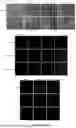 Fig. 04 - MODIFIED SIS MEMBRANE FOR TISSUE REPAIR, PREPARATION METHOD THEREFOR AND USE THEREOF