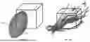 Fig. 11 - METHODS FOR VECTOR-BASED TARGETING OF THE HUMAN CENTRAL THALAMUS TO GUIDE DEEP BRAIN STIMULATION AND DEVICES THEREFOR