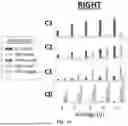 Fig. 17 - METHODS FOR VECTOR-BASED TARGETING OF THE HUMAN CENTRAL THALAMUS TO GUIDE DEEP BRAIN STIMULATION AND DEVICES THEREFOR