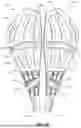 Fig. 27 - ADJUSTABLE SADDLE