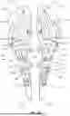 Fig. 41 - ADJUSTABLE SADDLE