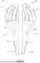 Fig. 54 - ADJUSTABLE SADDLE
