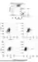 Fig. 09 - CLINICAL-GRADE THERAPEUTIC PROGENITORS GENERATED FROM TANKYRASE/PARP-INHIBITED PLURIPOTENT STEM CELL BANKS