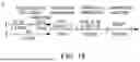 Fig. 33 - CLINICAL-GRADE THERAPEUTIC PROGENITORS GENERATED FROM TANKYRASE/PARP-INHIBITED PLURIPOTENT STEM CELL BANKS