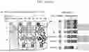 Fig. 04 - HIGH-RESOLUTION WHOLE GENOME IMAGING BY NUCLEIC ACID LOCUS AND BLOCK CODING
