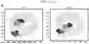 Fig. 08 - HIGH-RESOLUTION WHOLE GENOME IMAGING BY NUCLEIC ACID LOCUS AND BLOCK CODING
