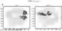 Fig. 09 - HIGH-RESOLUTION WHOLE GENOME IMAGING BY NUCLEIC ACID LOCUS AND BLOCK CODING