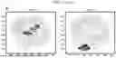 Fig. 16 - HIGH-RESOLUTION WHOLE GENOME IMAGING BY NUCLEIC ACID LOCUS AND BLOCK CODING