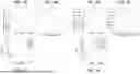 Fig. 05 - METHOD FOR ANALYSING THE DEGREE OF SIMILARITY OF AT LEAST TWO SAMPLES USING DETERMINISTIC RESTRICTION-SITE WHOLE GENOME AMPLIFICATION ( DRS-WGA)