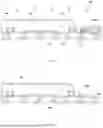 Fig. 07 - ELECTRONIC PACKAGE AND METHOD FOR FORMING THE SAME