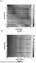 Fig. 06 - HIGH-BANDWIDTH LASER HAVING OPTIMIZED PARASITIC TRANSFER FUNCTION