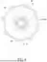Fig. 06 - HUB MOTOR