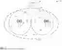Fig. 02 - PEER-TO-PEER COORDINATED TARGET WAKE TIME