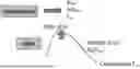 Fig. 01 - ORAL BENDAMUSTINE FORMULATIONS