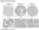 Fig. 167 - ANTI-VARIABLE MUC1* ANTIBODIES AND USES THEREOF