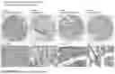 Fig. 197 - ANTI-VARIABLE MUC1* ANTIBODIES AND USES THEREOF