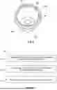 Fig. 06 - LUER FITTING DISINFECTION DEVICE