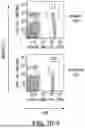 Fig. 25 - METHODS FOR TREATING HAIR LOSS DISORDERS