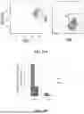 Fig. 28 - METHODS FOR TREATING HAIR LOSS DISORDERS
