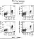 Fig. 43 - METHODS FOR TREATING HAIR LOSS DISORDERS