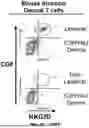 Fig. 55 - METHODS FOR TREATING HAIR LOSS DISORDERS