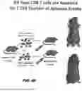 Fig. 59 - METHODS FOR TREATING HAIR LOSS DISORDERS