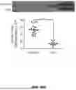 Fig. 69 - METHODS FOR TREATING HAIR LOSS DISORDERS